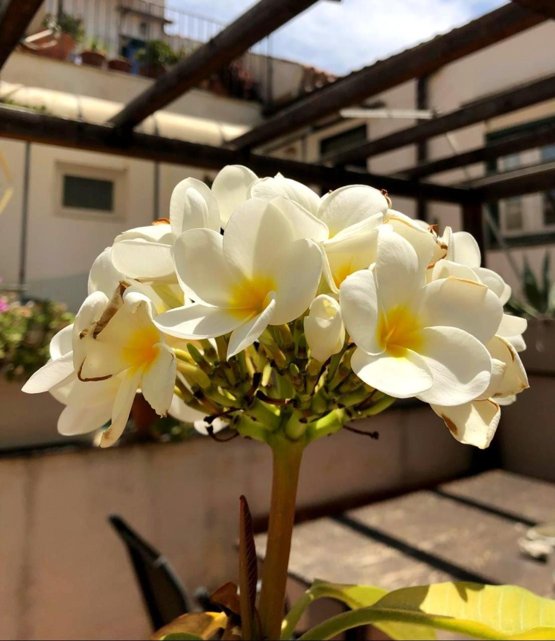 Ai Tintori Bed and breakfast Palermo