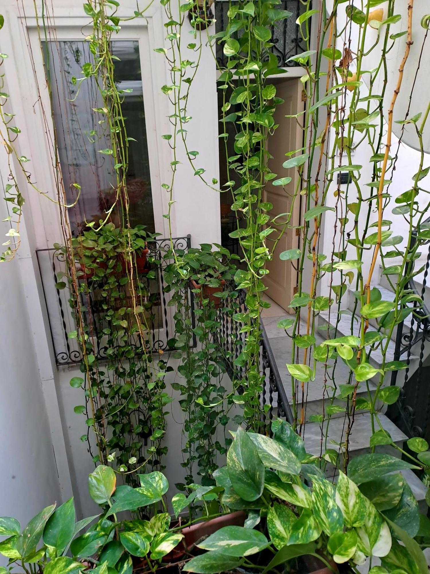 Bed and breakfast Ai Tintori